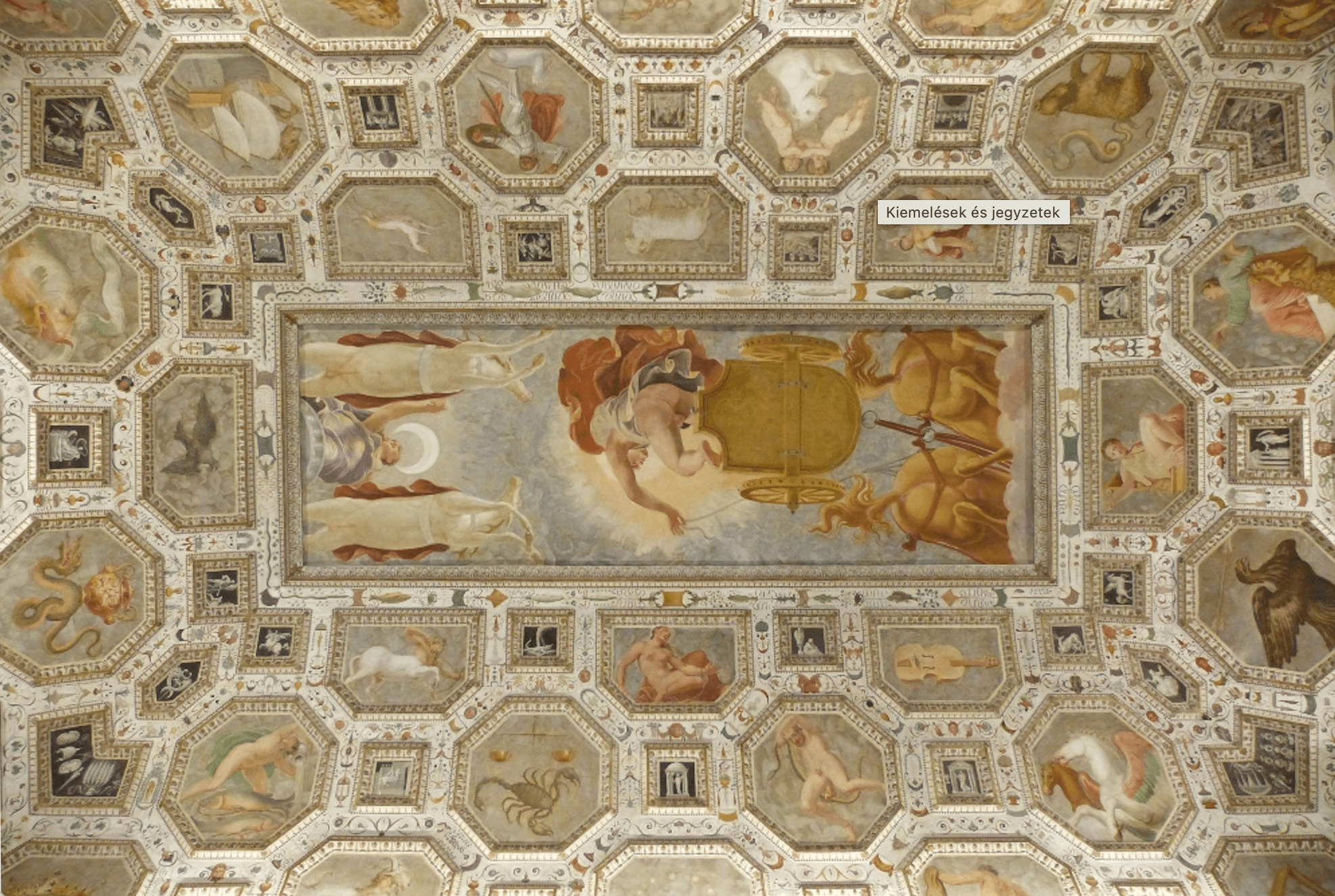 palazzo-chiericati-interno